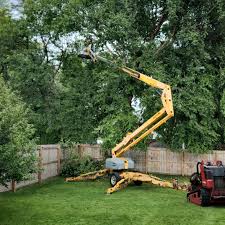 Artificial Turf Installation in Magnolia, MS